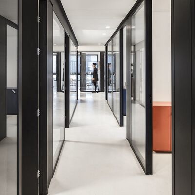 Fast Installing Solid Wall Partition Relocatable Modular Aluminum Partition Wall for Office Building